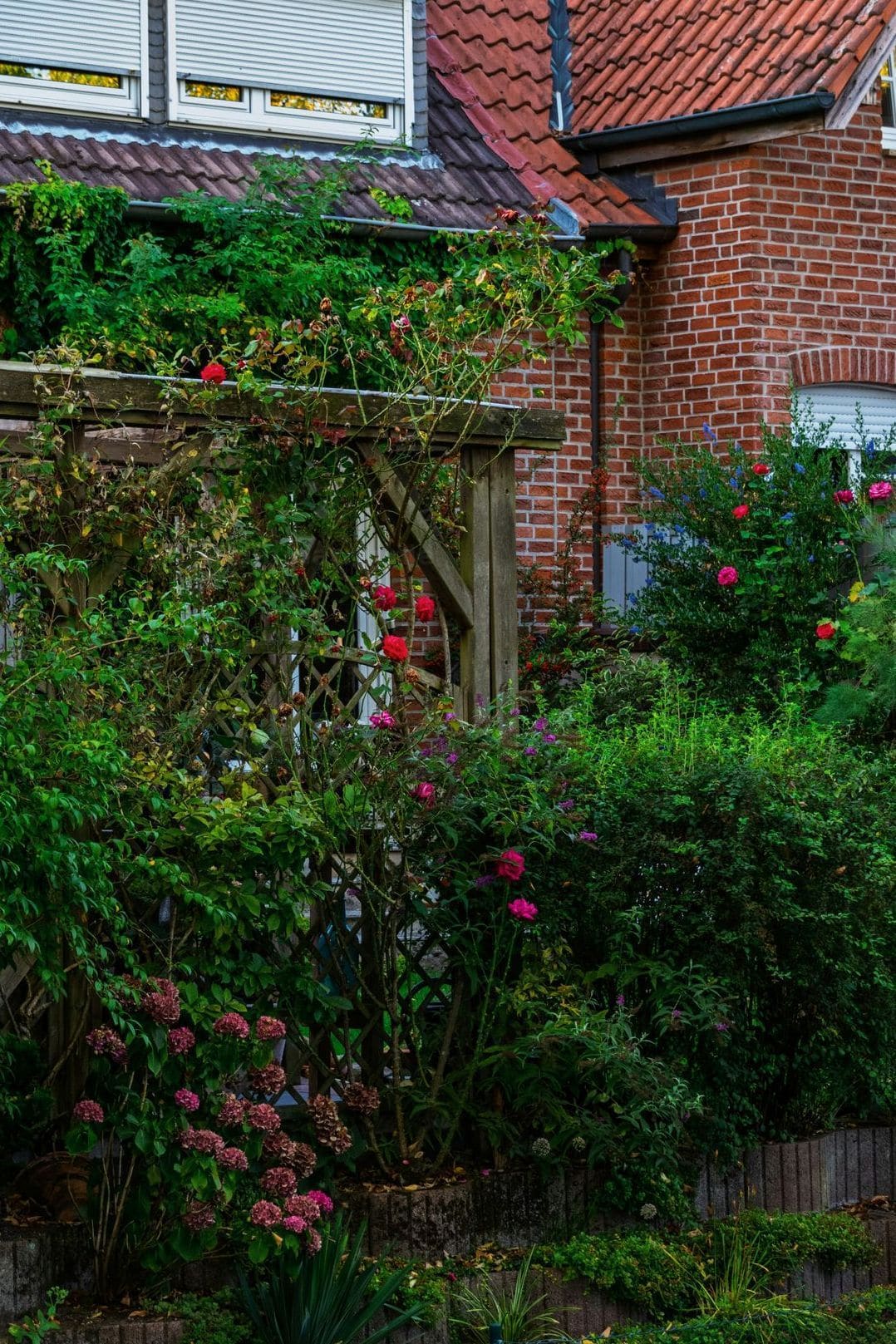 Jardin Harmonie 11