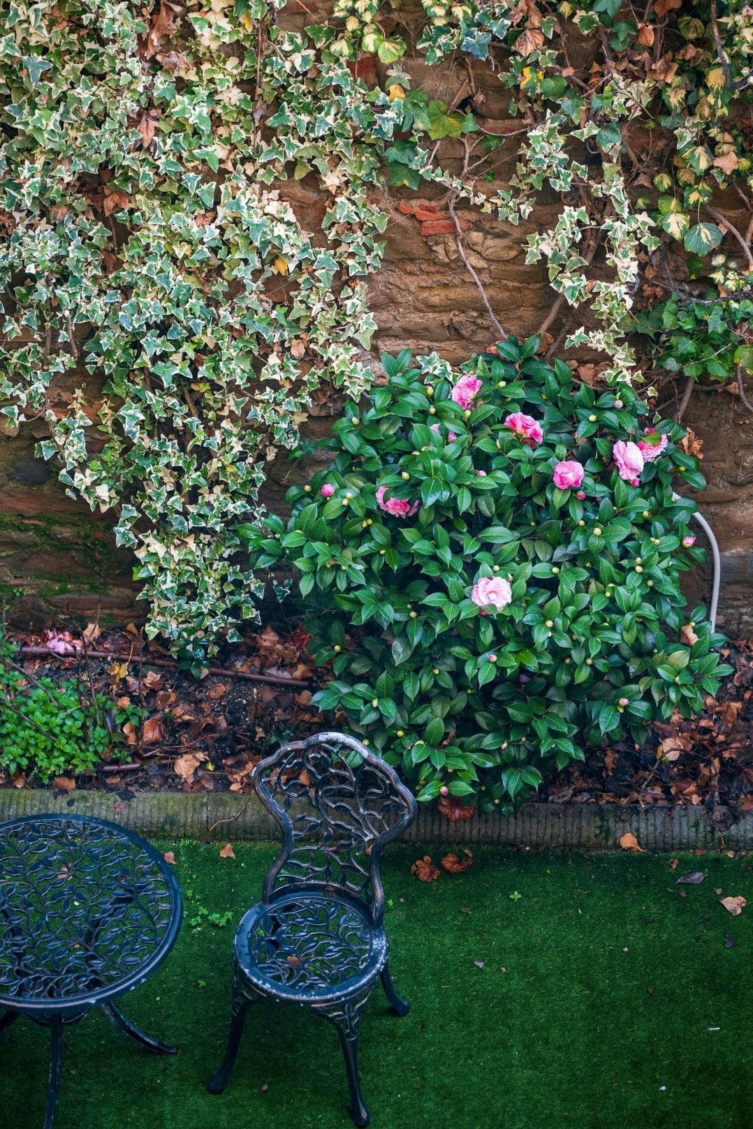 Jardin Harmonie 4